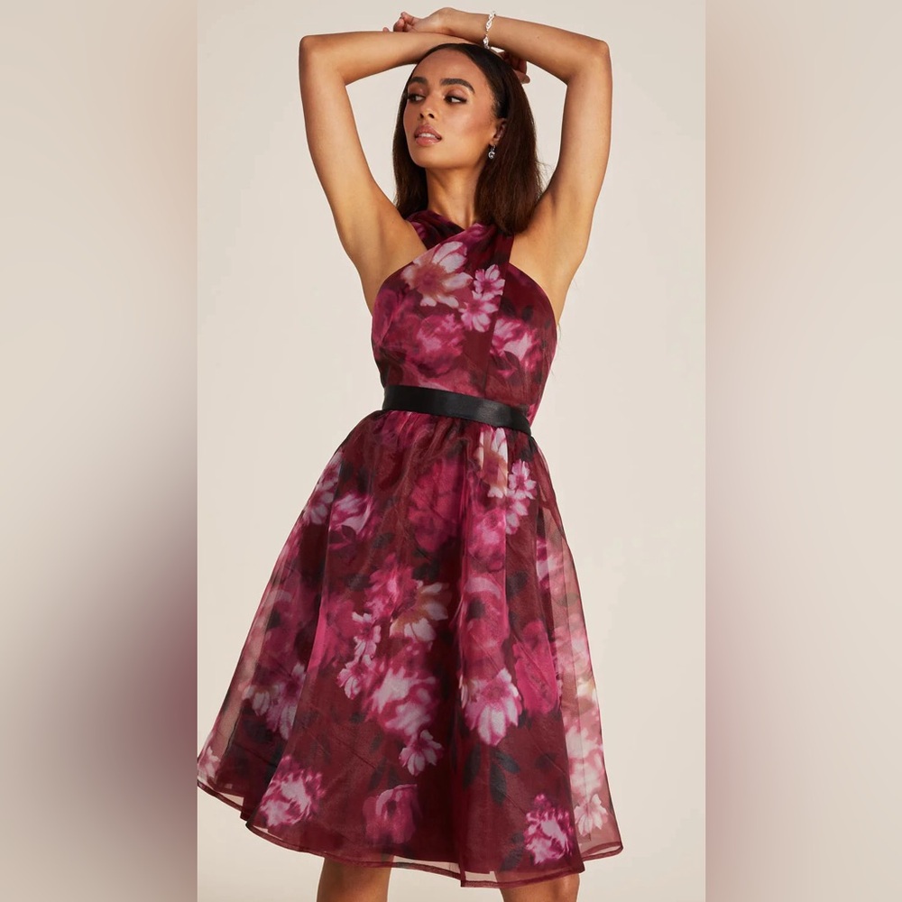 Le Chateau Printed Organza Halter Fit & Flare Midi Dress